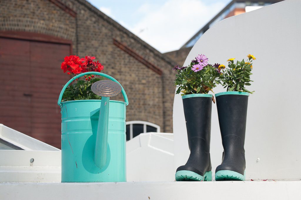 Flowers growing in boots and a water can