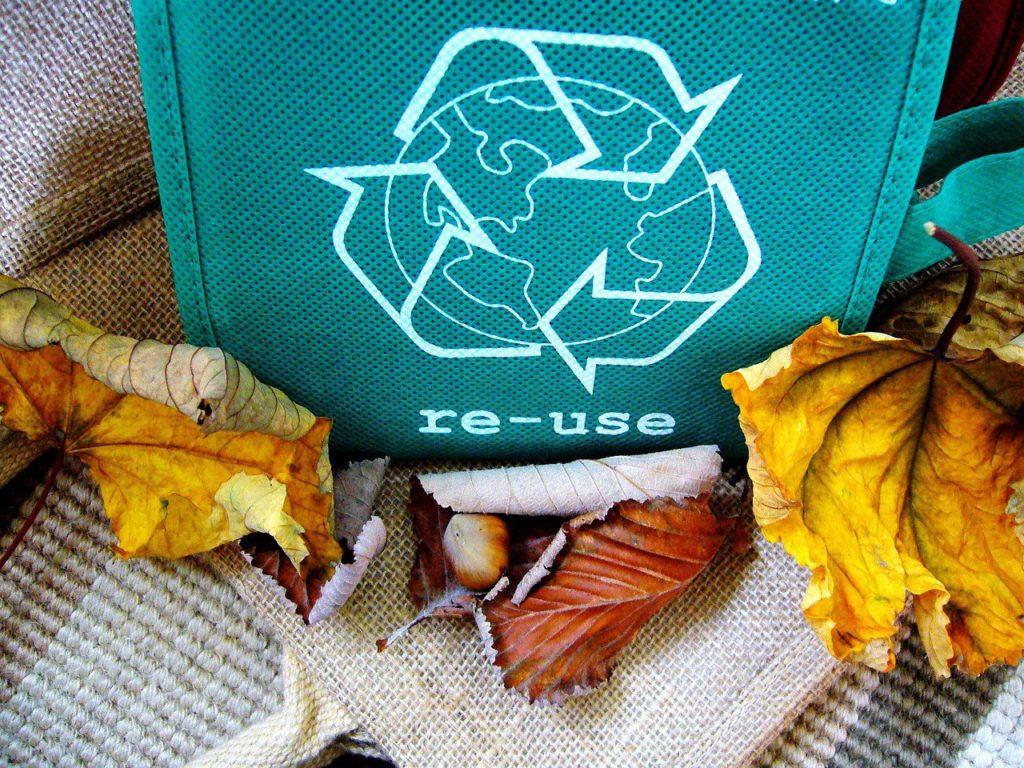 re use bags - save the planet